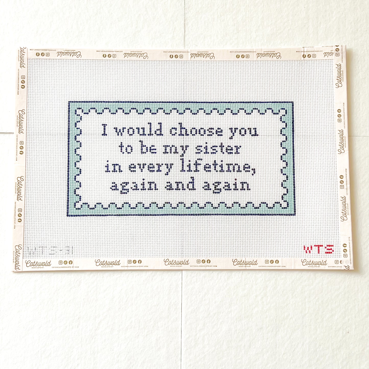 I Would Choose You to Be My Sister Needlepoint Canvas, 13 Mesh, Pop Culture Needlepoint, 5x10 Design