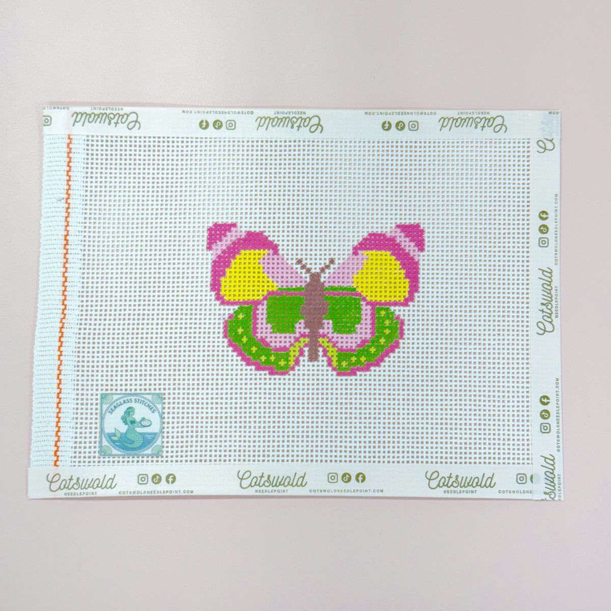 Pink Green Butterfly Needlepoint Canvas, 13 Mesh, 4x3 Design