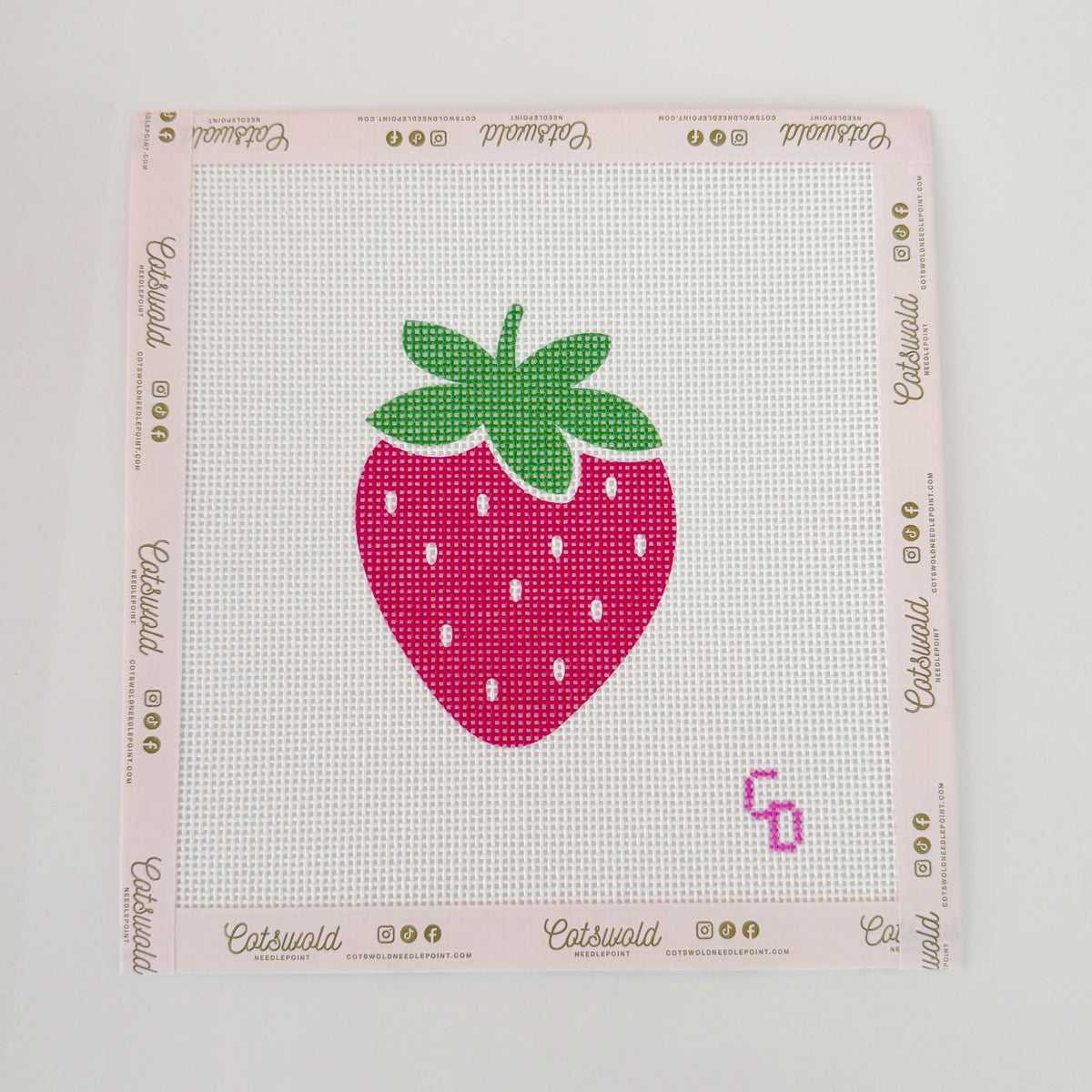 Strawberry Beginner Needlepoint Canvas, 4x4 Design, 13 Mesh