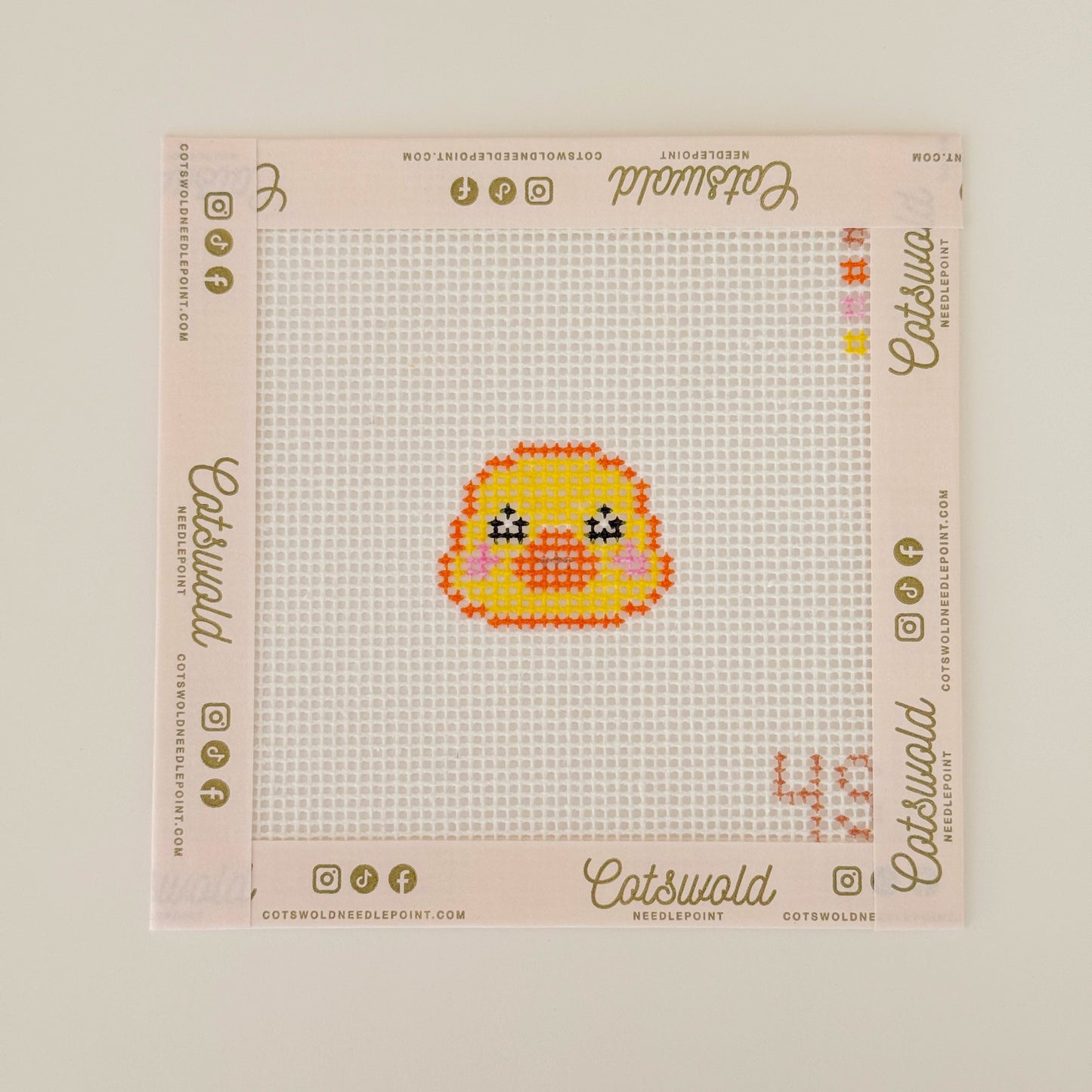 Duck Bag Charm Buddies Needlepoint Canvas