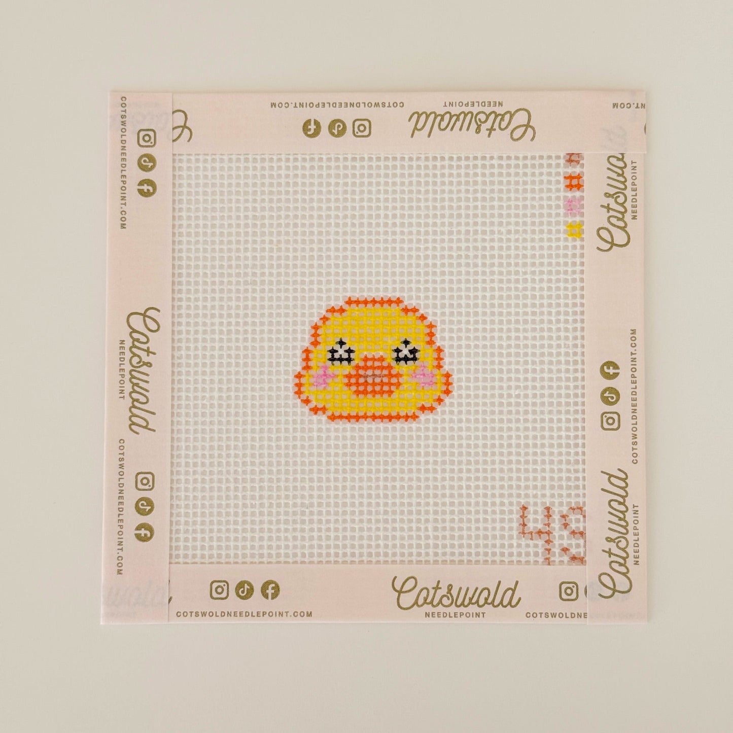 Duck Bag Charm Buddies Needlepoint Canvas