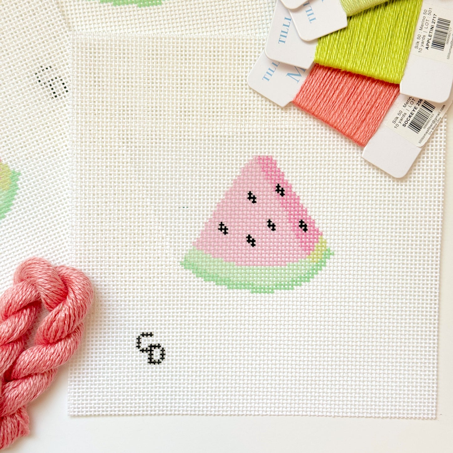 Watermelon Slice 13 Mesh Needlepoint Canvas, 3”x3” Design, Summer Needlepoint Canvas, Beginner Needlepoint