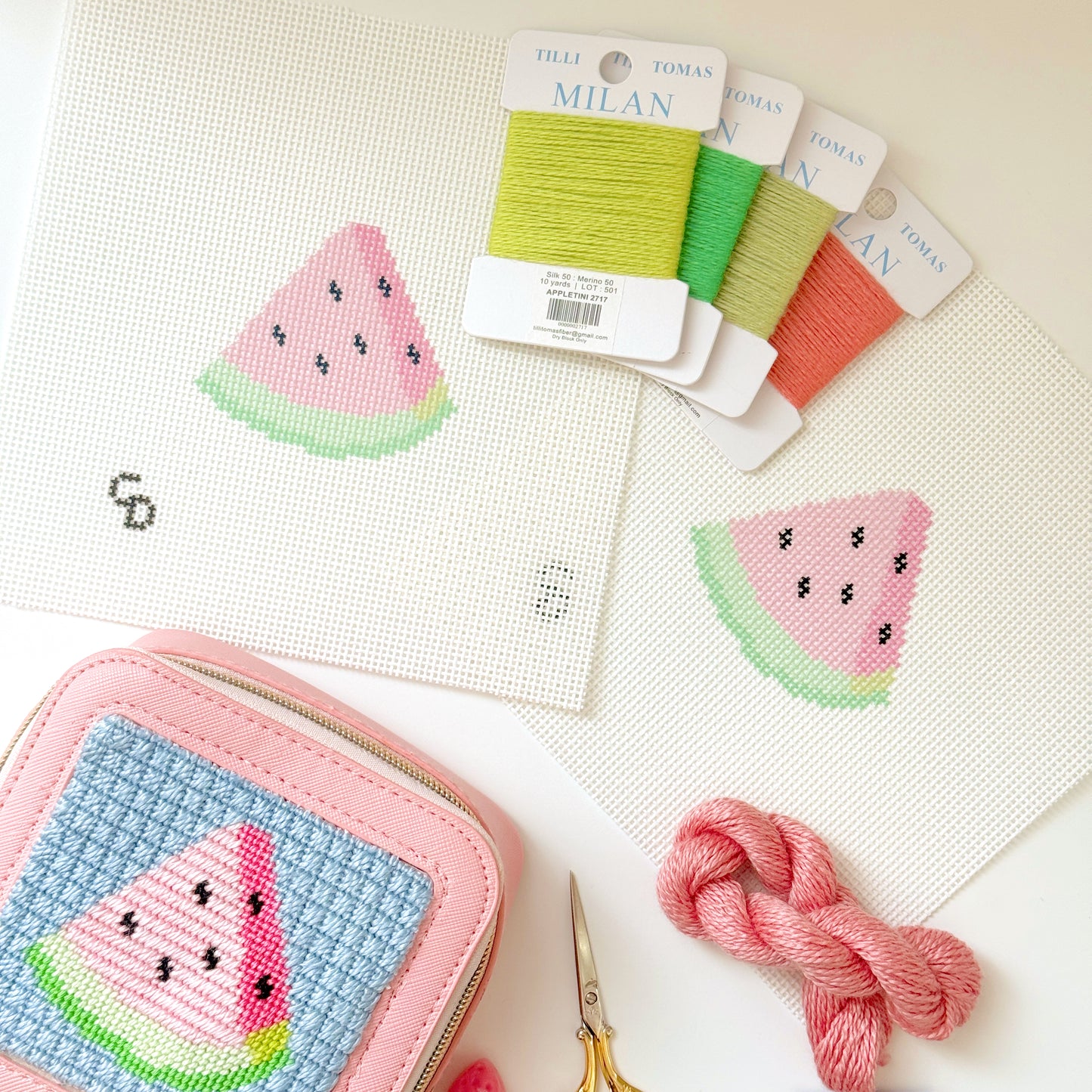 Watermelon Slice 13 Mesh Needlepoint Canvas, 3”x3” Design, Summer Needlepoint Canvas, Beginner Needlepoint