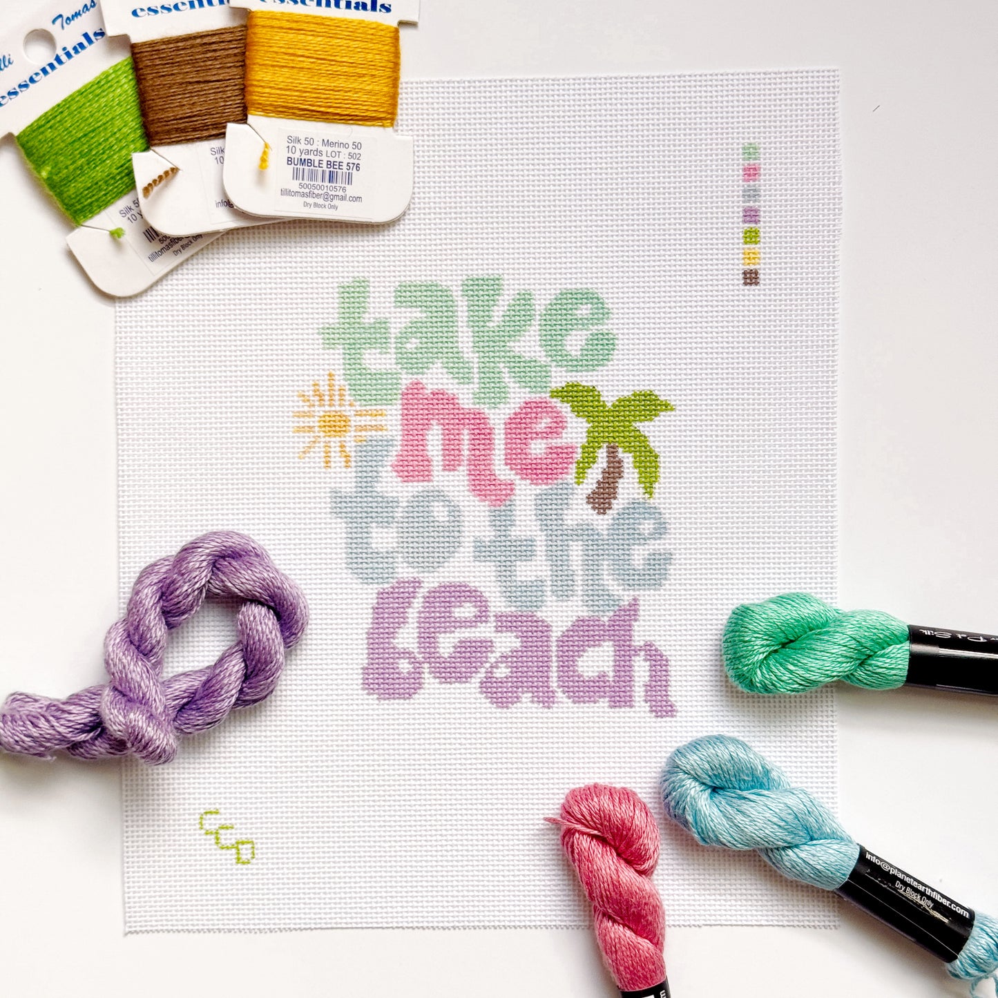 Take Me to the Beach Retro Needlepoint Canvas | Hand-Painted 18 Mesh | 5” x 4” Design on 8” x 8” Canvas