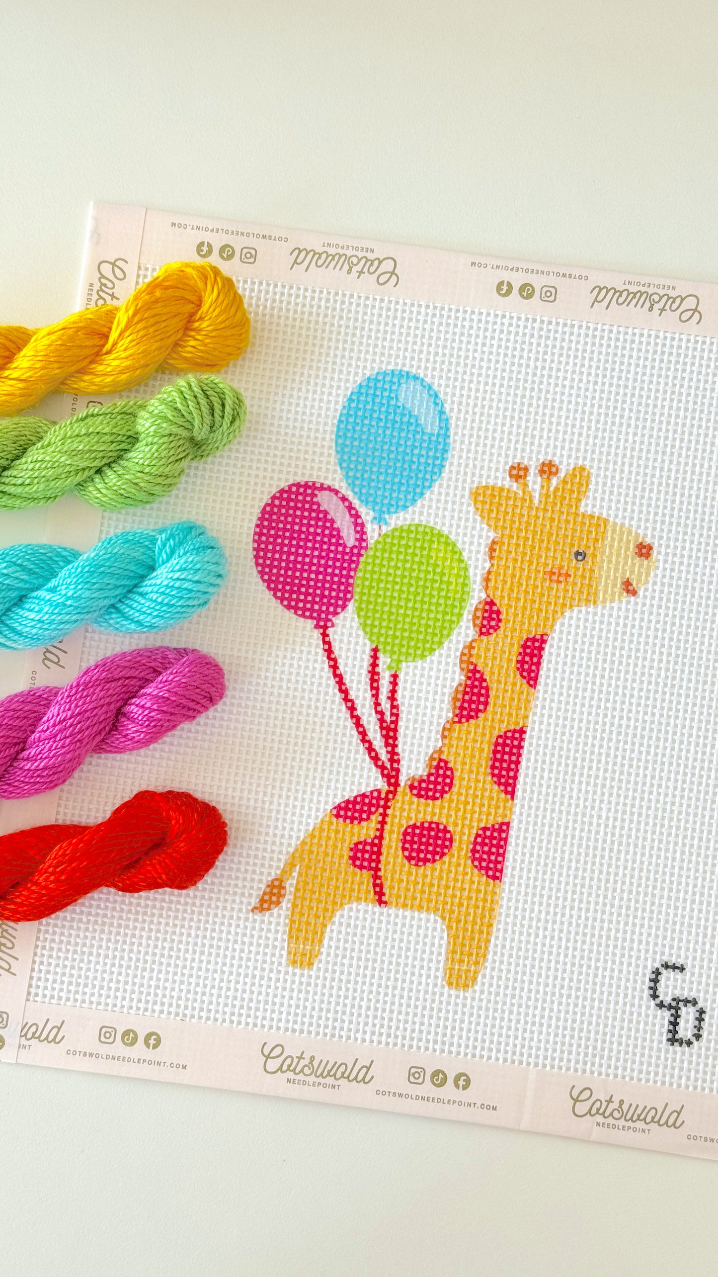 Birthday Party Giraffe Needlepoint Canvas, 13 Mesh, 3x5 Design