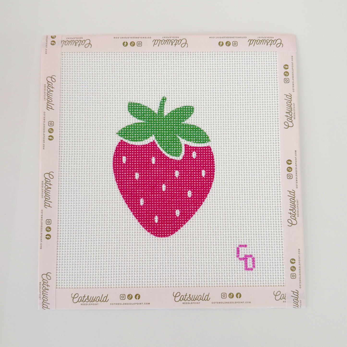 Strawberry Beginner Needlepoint Canvas, 4x4 Design, 13 Mesh