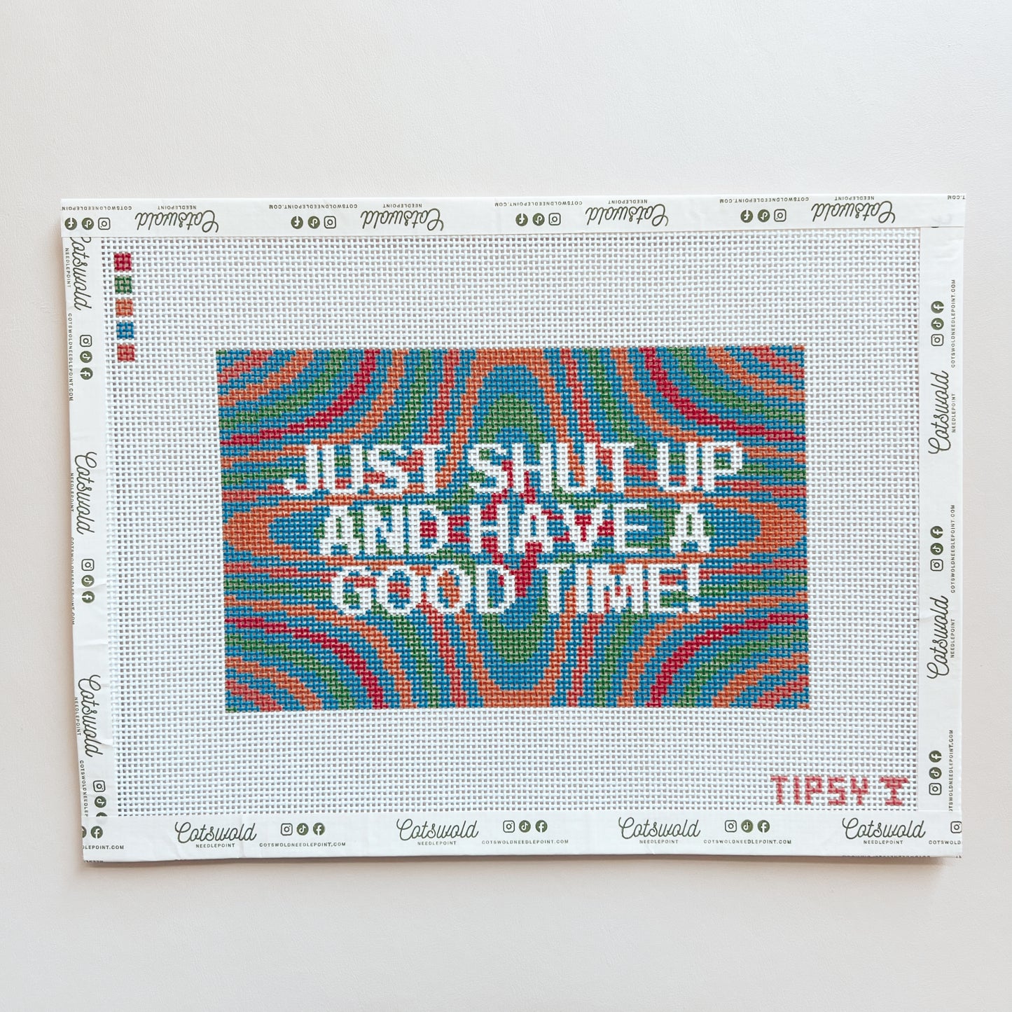 Just Shut Up And Have Good Time Needlepoint Canvas, 13 Mesh, 8 x 5" Design Size