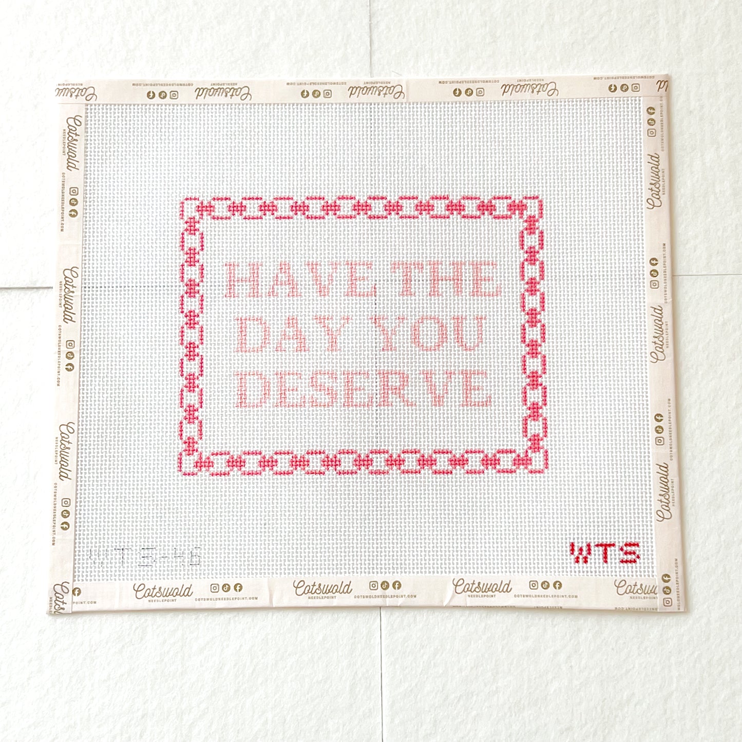 Have the Day You Deserve Sarcastic Needlepoint Canvas, 13 Mesh, Snarky Needlepoint, 6x7 Design