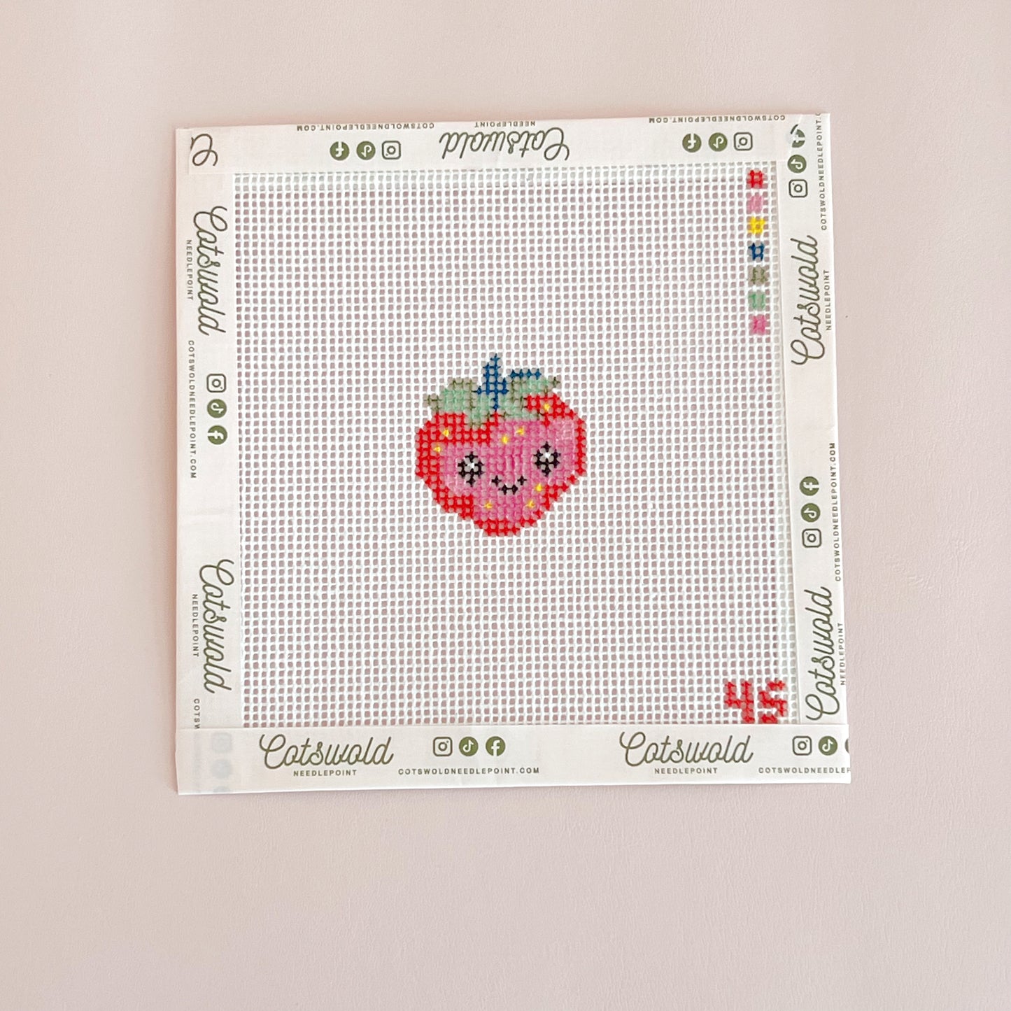 Small Happy Face Strawberry Needlepoint Canvas, 14 Mesh, 1.25"x1.5" Design Size