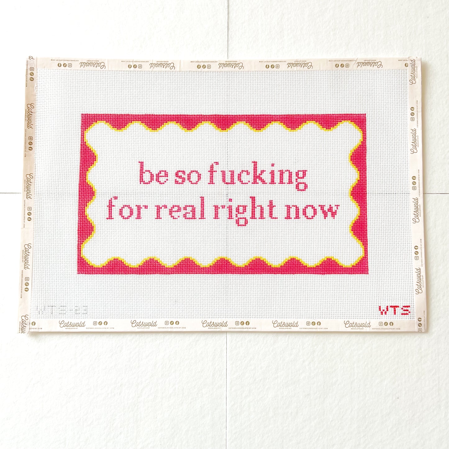 Be So For Real Right Now Sarcastic Needlepoint Canvas, 13 Mesh, Snarky Needlepoint, 7x13 Design