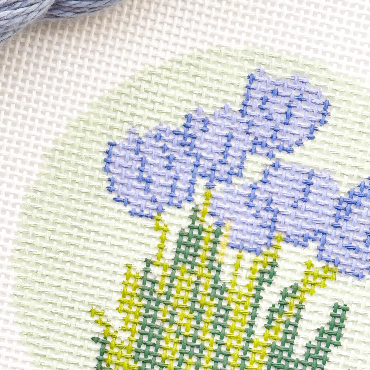 Tulip Flower Round Needlepoint Canvas | Hand-Painted 13 Mesh | 4" Design on 8" x 8" Canvas | Ready to Ship